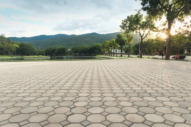 Professional Driveway Pavers in Applewood, CO