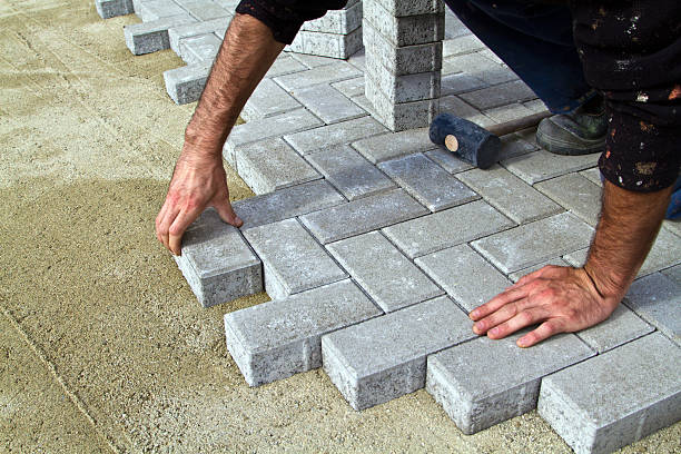 Best Driveway Paver Repairs and Restoration in Applewood, CO